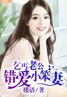 我的乞丐老公