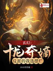 十龙夺嫡笔趣阁