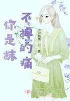 你是我永远抹不去的伤歌词