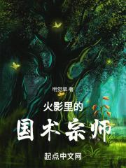 火影里面的体术高手
