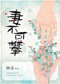 妻不可攀 映漾 免费的