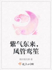 紫气东来有凤来仪