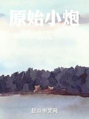 原始大炮的工作原理示意图