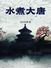 水煮大臣