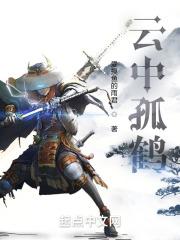 云中鹤表达什么意思