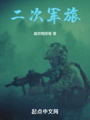 二次军旅免费阅读全文最新章节