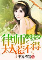 大婚晚成讲什么