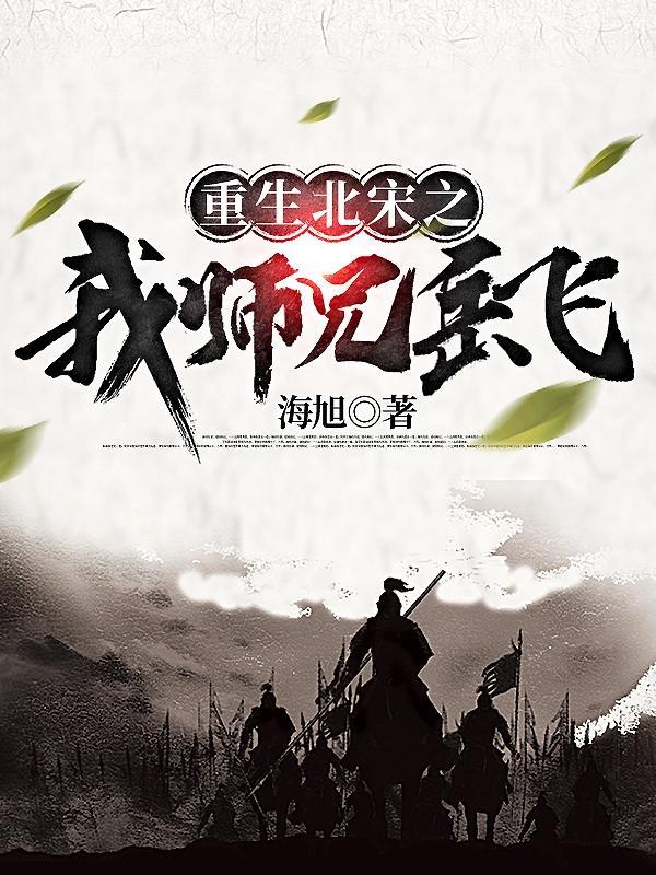 穿越大宋之岳飞