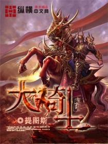 大骑士金标红葡萄酒价格