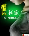 宦海征途怎么纳妾