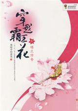 警花穿越成贼