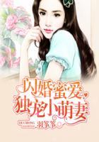 独宠小甜妻