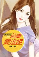 名门萌妻txt