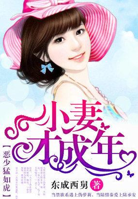 恶少宠妻免费阅读全文