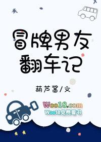 冒牌男友txt