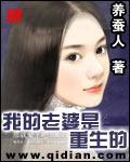 我的老婆是重生的全文免费阅读