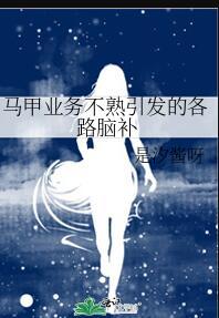 马甲作品是什么意思