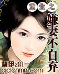 嫌妻不良免费阅读