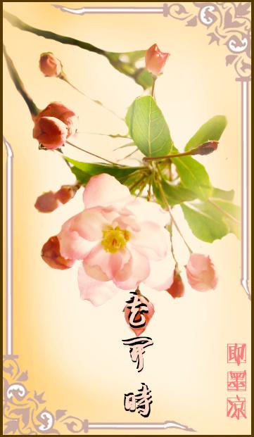 花开花落终有缘