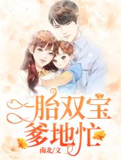 一胎双宝爹地忙免费阅读笔趣阁