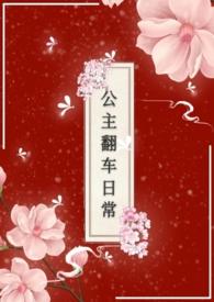 公主车百科
