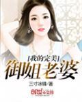 我的完美御姐老婆在线阅读