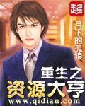 重生之资源大亨八零电子书
