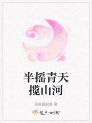 半摇青天月诗词解释