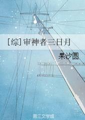 综审神者三日月笔趣阁