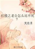 红楼之公府嫡长媳免费阅读
