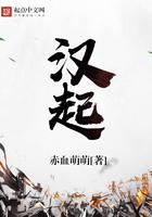 扬锋汉起