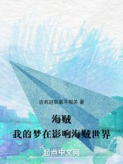 海贼的梦想