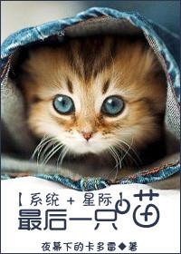 最后一只小猫