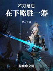 不好意思在下略胜一筹起点