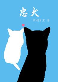 忠犬帕尔玛在线观看完整版