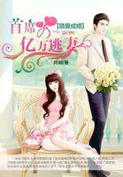 首席掠爱老婆继续结局