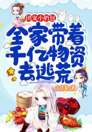 团宠宝宝小奶娃的