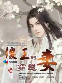 傻王爷的倾城王妃