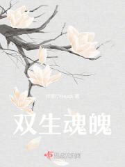 双生灵魂其中死了