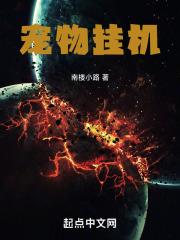 宠物对战挂机升120会封号吗