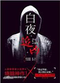 白夜追凶结局什么意思