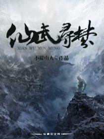 仙武之道