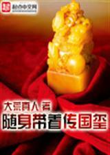 随身带着国家金库txt