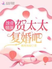 蚀骨情深贺太太复婚吧免费阅读无广告