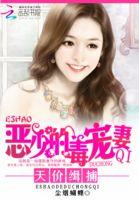 天价宠妻全文阅读