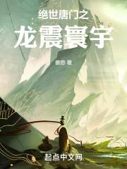 绝世唐门之龙震寰宇解读