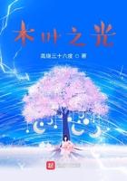 木叶之光txt奇书网