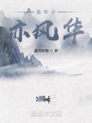 穿过风华雪月的年少