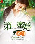 豪门第一婚宠豪门情斗