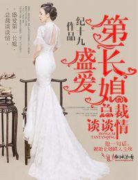 盛爱第一夫人讲什么